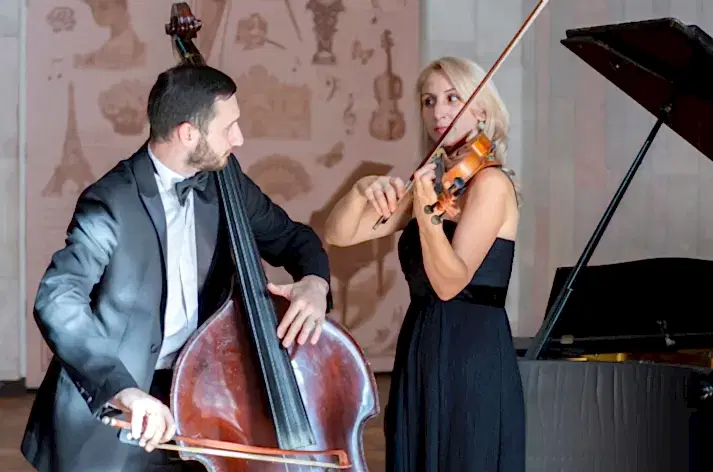 özel keman dersi fiyatları